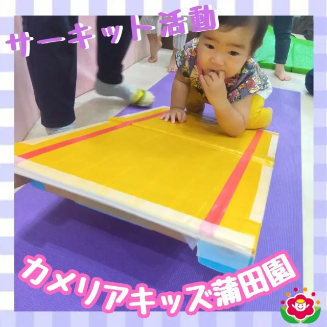 こんにちは!カメリアキッズ蒲田園です✨️本日は「サーキット」の様子をご紹介！体操で身体をほぐし準備バッチリ！シーソーはゆっくり慎重にバランスをとりながら💦みんな夢中でコースをまわっていました♪随時説明会開催中ですご連絡お待ちしております!他のSNSも要チェック☑️HP：🔍️カメリアキッズYouTube：🔍️カメリアキッズほいくえ：🔍️カメリアキッズTikTok：🔍️ @ camellia_kids_hoikuen。°✧·*︵︵︵︵︵︵︵︵︵︵︵︵︵︵︵︵*·✧°。カメリアキッズ蒲田園〒144-0051東京都大田区西蒲田7-50-5　クレメンシア1F📞03-6811-4040園児・保育士・調理さん◎◎◎募集中◎◎◎。°✧·*︶︶︶︶︶︶︶︶︶︶︶︶︶︶︶︶*·✧°。 #カメリアキッズ #東京都 #大田区保育園 #認可外保育園 #保活