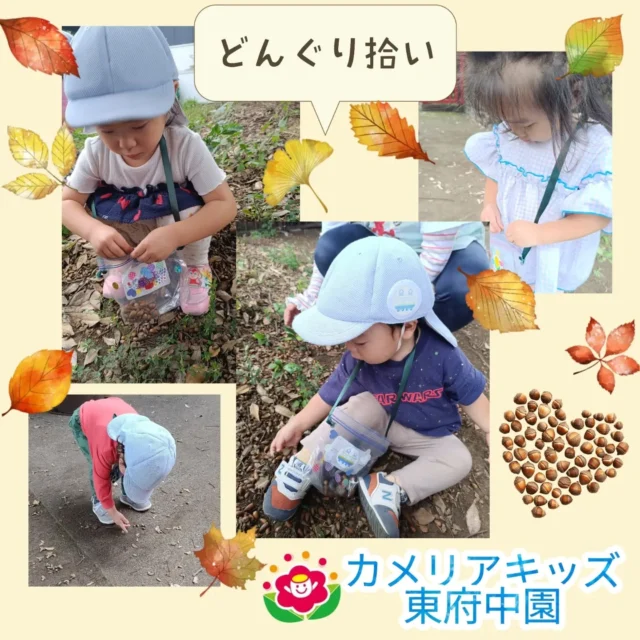 こんにちは。カメリアキッズ東府中園です。先日作ったマイバックを持って○○○○が落ちているところに行きました。様子からもわかるように、、○○○○の答えは、どんぐりでした。大小異なる大きさのどんぐりや帽子つきどんぐりなどなど。自分で見つけたものをオリジナルバックに入れることが嬉しく一つずつ丁寧に集めています。これから様々な公園でこの収集遊びを楽しみたいと思います。また、その様子は今後の投稿でお伝えしていきますね◎お楽しみに〜。【府中市で保育園をお探しの方へ】カメリアキッズ東府中園では、園見学・入園に関するご相談を受け付けています。東府中駅から徒歩圏内にある保育園です。日々の遊びや季節の行事を通じて、子ども１人ひとりの成長を大切にした保育を行っています。■入園・園見学について・見学可能日・対象年齢・入園に関する詳細詳細は、プロフィールのウェブサイトにある入園案内をご確認ください。■保育士の採用についてカメリアキッズ東府中園では、保育士を募集しています。職員同士で子どもたちの様子や保育内容を共有し、相談・連携しながら日々の保育に取り組んでいます。・募集職種・雇用形態・給与・休日・応募方法