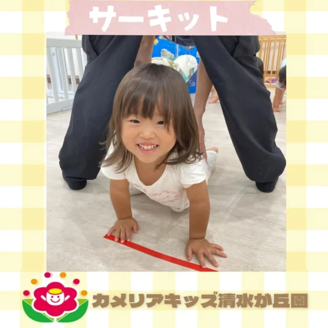 こんにちは、カメリアキッズ清水が丘園です先日のサーキット活動のようすをお届けします。サーキット活動にも慣れてきた子どもたち！以前よりも、スムーズに進むことが出来るようになってきました♪ハイハイでトンネルくぐりをしたり、はしごを渡ったり！もっとやりたい！と積極的な子どもたちでした(⁠^⁠^⁠)【府中市で保育園をお探しの方へ】カメリアキッズ清水が丘園では、園見学・入園に関するご相談を受け付けています。多磨霊園駅から徒歩圏内にある保育園です。日々の遊びや季節の行事を通じて、子ども一人ひとりの成長を大切にした保育を行っています。■ 入園・園見学について・見学可能日・対象年齢・入園に関する詳細詳細は、プロフィールのウェブサイトにある入園案内をご確認ください。■ 保育士の採用についてカメリアキッズ清水が丘園では、保育士を募集しています。職員同士で子どもたちの様子や保育内容を共有し、相談・連携しながら日々の保育に取り組んでいます。・募集職種・雇用形態・給与・休日・応募方法