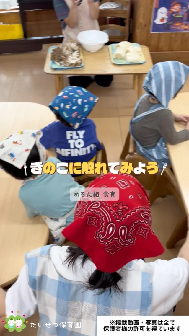 こんにちは☀️たいせつ保育園です！今日はめろん組さんが食育できのこに触れる活動をしました🍄ドキドキしながらも、きのこを分けっこする感触や匂いを感じながら楽しむ事ができました🍂🍁食への興味・関心を深めるたいせつな時間となりました😊🌱💭🤍.•*¨*•.*♬ 💭🤍.•*¨*•.*♬💭 🤍.•*¨*•.*♬説明会開催中です✨ご連絡お待ちしております🌈ホームページ: 🔎たいせつ保育園⁡🍀✨🍀✨🍀✨🍀✨🍀✨🍀✨🍀✨たいせつ保育園📮 221-0823 🏠神奈川県横浜市神奈川区二ツ谷町6-3☎️ 045-624-8836🍀✨🍀✨🍀✨🍀✨🍀✨🍀✨🍀✨#たいせつ保育園#神奈川県保育園#横浜市保育園#認可保育園#保育園