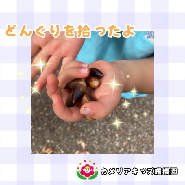 こんにちは。カメリアキッズ曙橋園です。過ごしやすい季節になってきたので寒くなる前にお散歩へ行きました。どんぐりをたくさん見つけると大興奮の子供たち。たくさん拾い満足なお散歩でした。◼️入園・園見学について・見学可能日・対象年齢・入園に関する詳細詳細は、プロフィールウェブサイトにある入園案内をご確認ください。◼️保育士の採用についてカメリアキッズ曙橋園では、保育士を募集しています。職員同士で子どもたちの様子や保育内容を共有し、相談、連携しながら日々の保育に取り組んでいます。・募集職種・雇用形態・給与・休日・応募方法