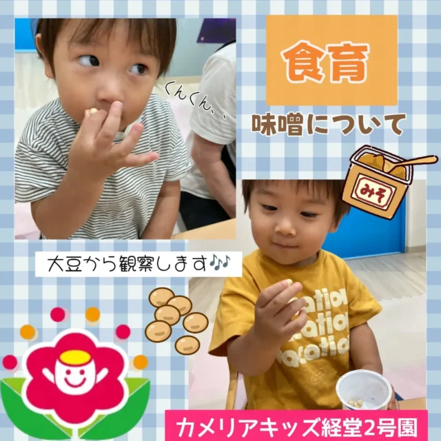 こんにちは！カメリアキッズ経堂2号園です！今回は味噌について行なった食育についてお届けします！大豆の観察から始めて、大豆を潰して麹と混ぜて味噌玉を作るところまでしました。みんな上手に器具を使って混ぜたり手で一生懸命こねたり、匂いに反応したりしていて食育を楽しみました。【世田谷区で保育園をお探しの方へ】カメリアキッズ経堂2号園では、園見学・入園に関するご相談を受け付けています。経堂駅から徒歩圏内にある保育園です。日々の遊びや季節の行事を通じて、子ども一人ひとりの成長を大切にした保育を行っています。■ 入園・園見学について・見学可能日・対象年齢・入園に関する詳細詳細は、プロフィールのウェブサイトにある入園案内をご確認ください。■ 保育士の採用についてカメリアキッズ経堂2号園では、保育士を募集しています。職員同士で子どもたちの様子や保育内容を共有し、相談・連携しながら日々の保育に取り組んでいます。・募集職種・雇用形態・給与・休日・応募方法採用に関する詳細は、プロフィールのウェブサイトにある採用ページをご確認ください。【カメリアキッズ経堂2号園】東京都世田谷区宮坂2丁目18-3 キャッスル経堂 1F"